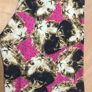 LuLaRoe TC Kitty Cats!